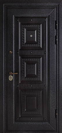 Фотография «Дверь Металлобагет №29»