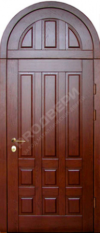 Фотография «Парадная дверь №49»